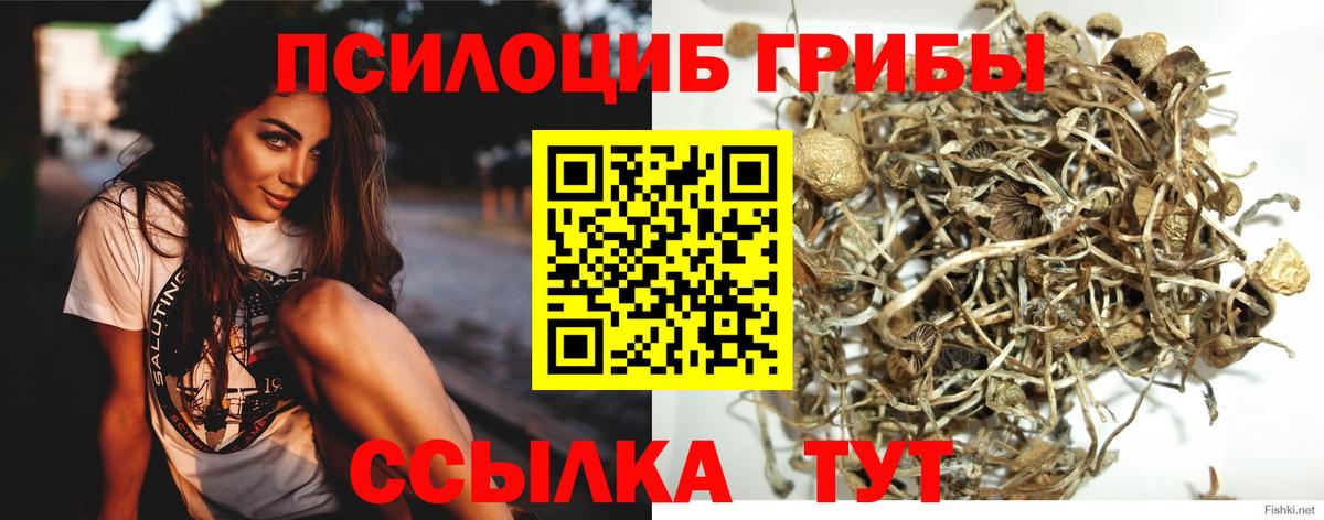 Галлюциногенные грибы MAGIC MUSHROOMS Ачхой-Мартан